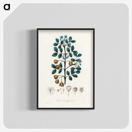 1-15_Medical-Botany_blk-crop