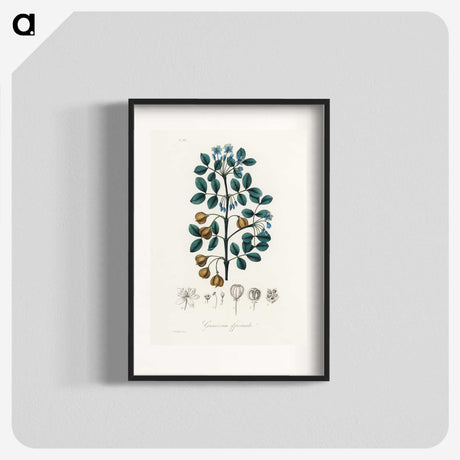 1-15_Medical-Botany_blk