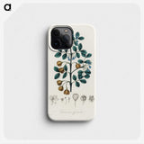 1-15_Medical-Botany_phone
