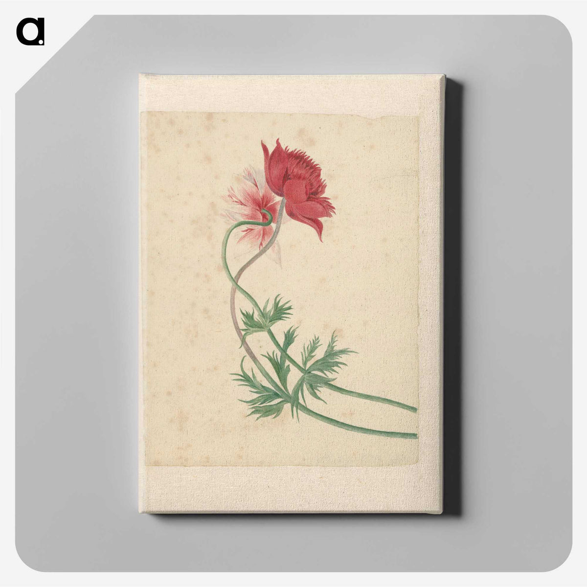 1-15_Michiel-van-Huysum_canvas
