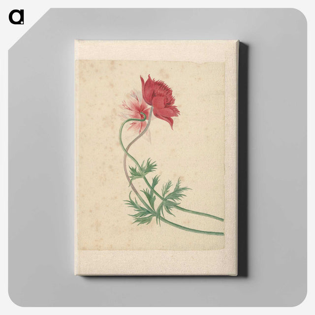 1-15_Michiel-van-Huysum_canvas