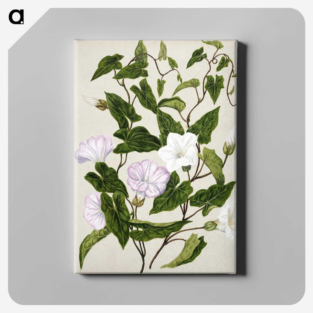1-15_Native-Flowering-Plants-of-New-Zealand_canvas