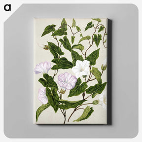 1-15_Native-Flowering-Plants-of-New-Zealand_canvas