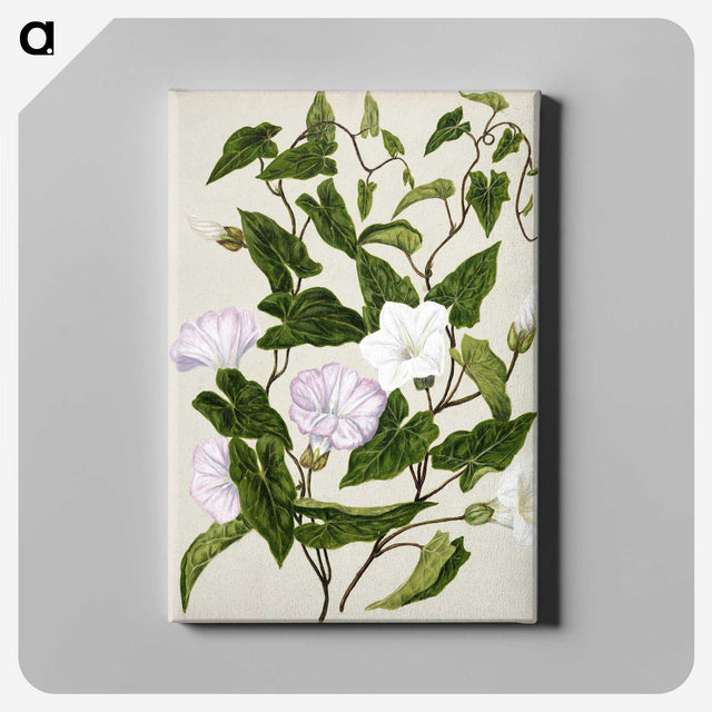 1-15_Native-Flowering-Plants-of-New-Zealand_canvas