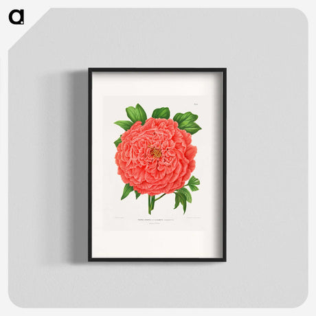 1-15_Nederlandsche-Flora-en-Pomona_blk