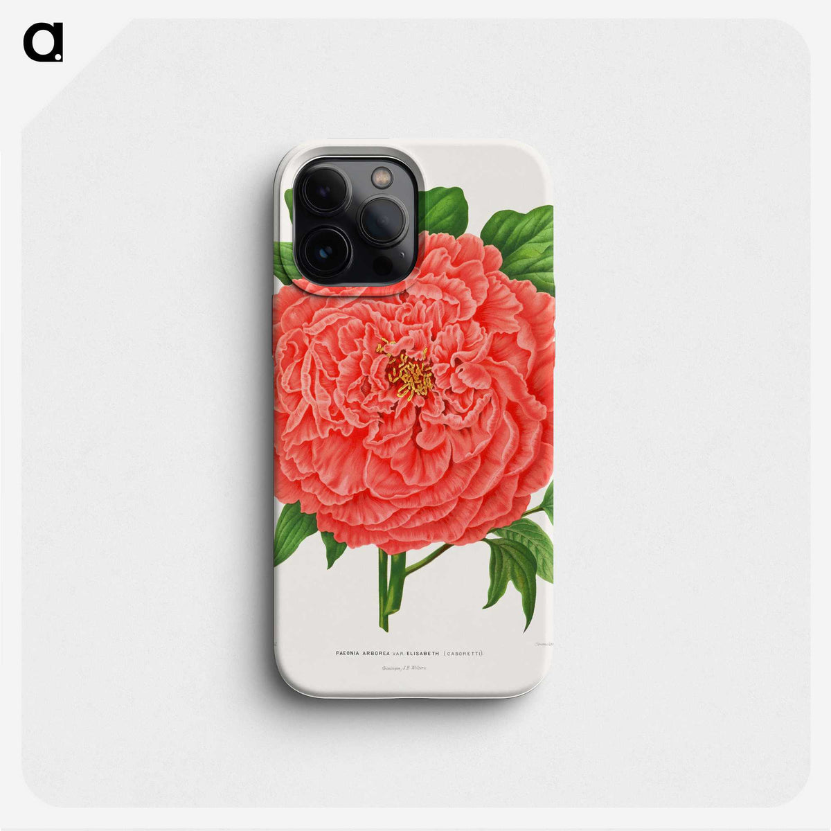 1-15_Nederlandsche-Flora-en-Pomona_phone