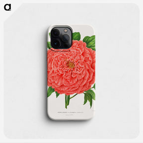 1-15_Nederlandsche-Flora-en-Pomona_phone