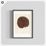 1-15_New-and-Rare-Beautiful-Leaved-Plants_blk