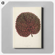 1-15_New-and-Rare-Beautiful-Leaved-Plants_canvas