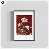 Hærdaceous Peony - 小川 一正 Poster.