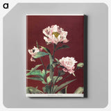 1-15_Ogawa-Kazumasa_canvas