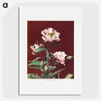 1-15_Ogawa-Kazumasa_picture