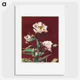 1-15_Ogawa-Kazumasa_picture