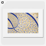 1-15_Ottoman-Tughra-of-Sultan-Suleiman_picture