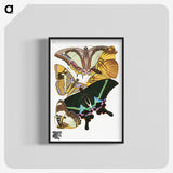 1-15_Papillons_blk-crop