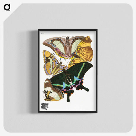 1-15_Papillons_blk-crop