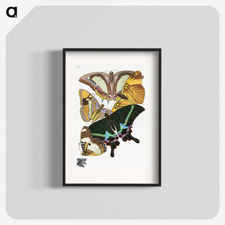 1-15_Papillons_blk