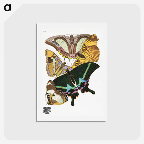 1-15_Papillons_hagaki