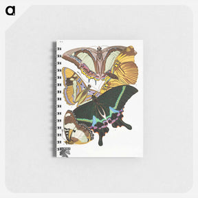 アートメモ帳-Vintage Butterflies
 - パピヨン Memo.