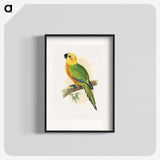 1-15_Parrots-in-Captivity_blk