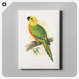 1-15_Parrots-in-Captivity_canvas