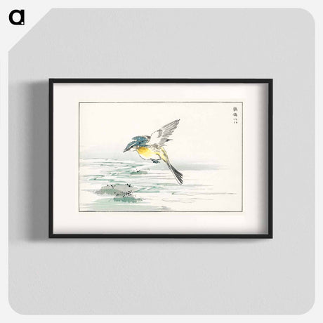 アートポスター-Eastern Grey Wagtail
 - 鳥類図鑑 Poster.