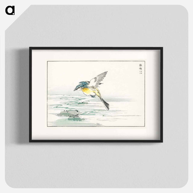 アートポスター-Eastern Grey Wagtail
 - 鳥類図鑑 Poster.