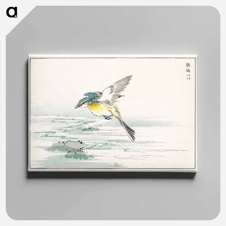 アートパネル-Eastern Grey Wagtail
 - 鳥類図鑑 Canvas.