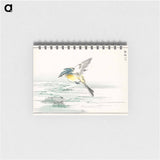 アートメモ帳-Eastern Grey Wagtail
 - 鳥類図鑑 Memo.