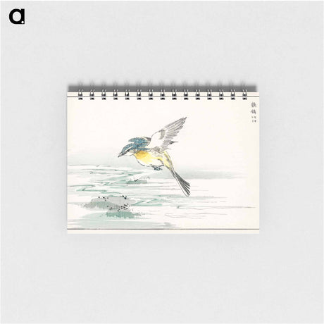 アートメモ帳-Eastern Grey Wagtail
 - 鳥類図鑑 Memo.