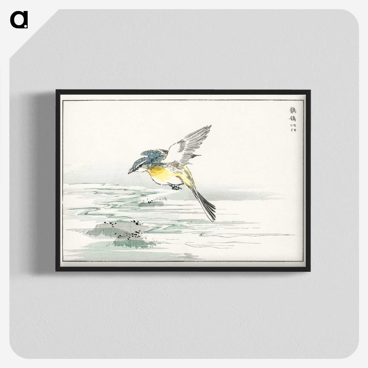 1-15_Pictorial-Monograph-of-Birds_blk-crop