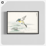 1-15_Pictorial-Monograph-of-Birds_blk-crop