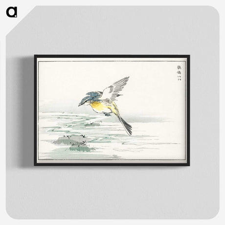 1-15_Pictorial-Monograph-of-Birds_blk-crop