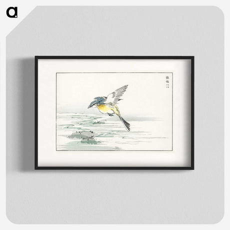 1-15_Pictorial-Monograph-of-Birds_blk