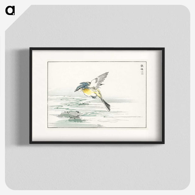 1-15_Pictorial-Monograph-of-Birds_blk