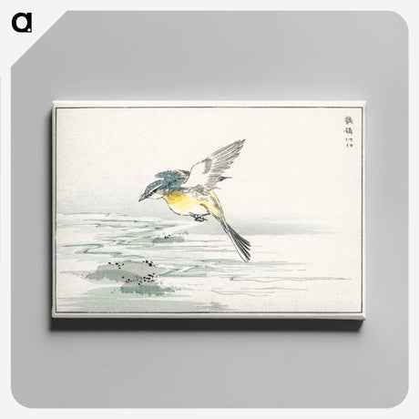 1-15_Pictorial-Monograph-of-Birds_canvas