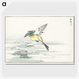 1-15_Pictorial-Monograph-of-Birds_picture-crop