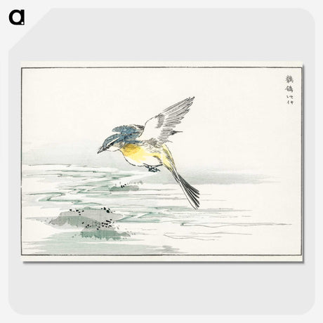 1-15_Pictorial-Monograph-of-Birds_picture-crop