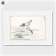 1-15_Pictorial-Monograph-of-Birds_picture