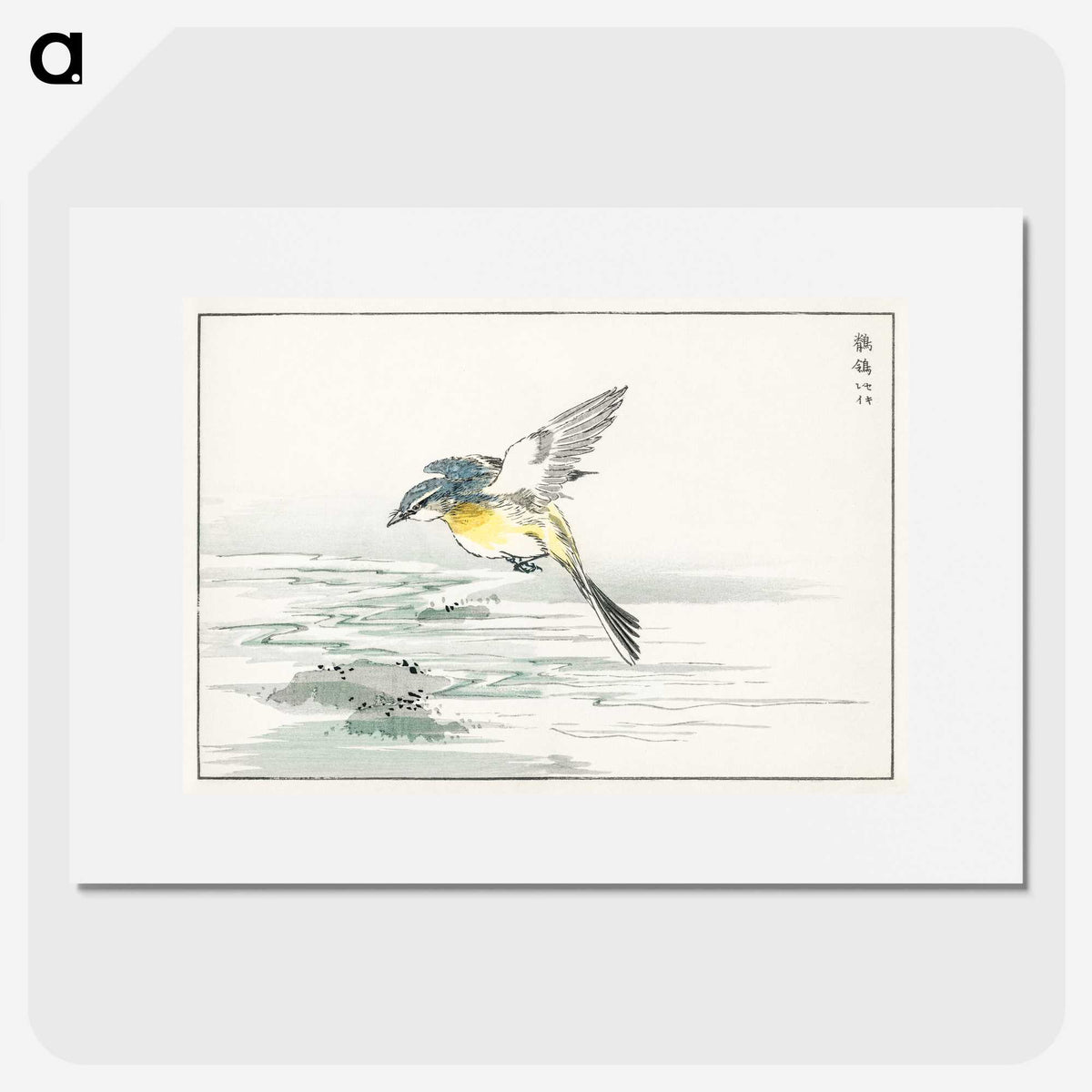1-15_Pictorial-Monograph-of-Birds_picture