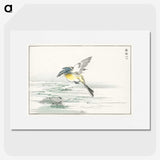 1-15_Pictorial-Monograph-of-Birds_picture