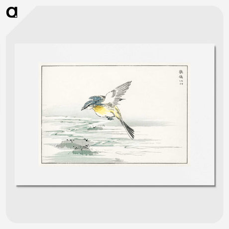 1-15_Pictorial-Monograph-of-Birds_picture