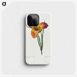 1-15_Pierre-Joseph-Redoute_phone