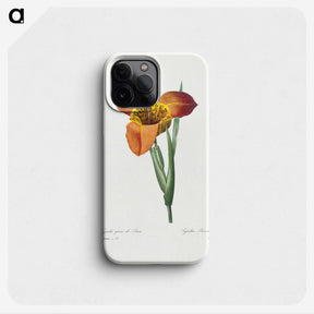 1-15_Pierre-Joseph-Redoute_phone