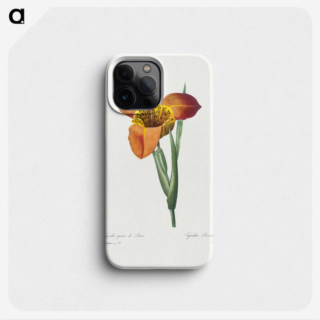 1-15_Pierre-Joseph-Redoute_phone
