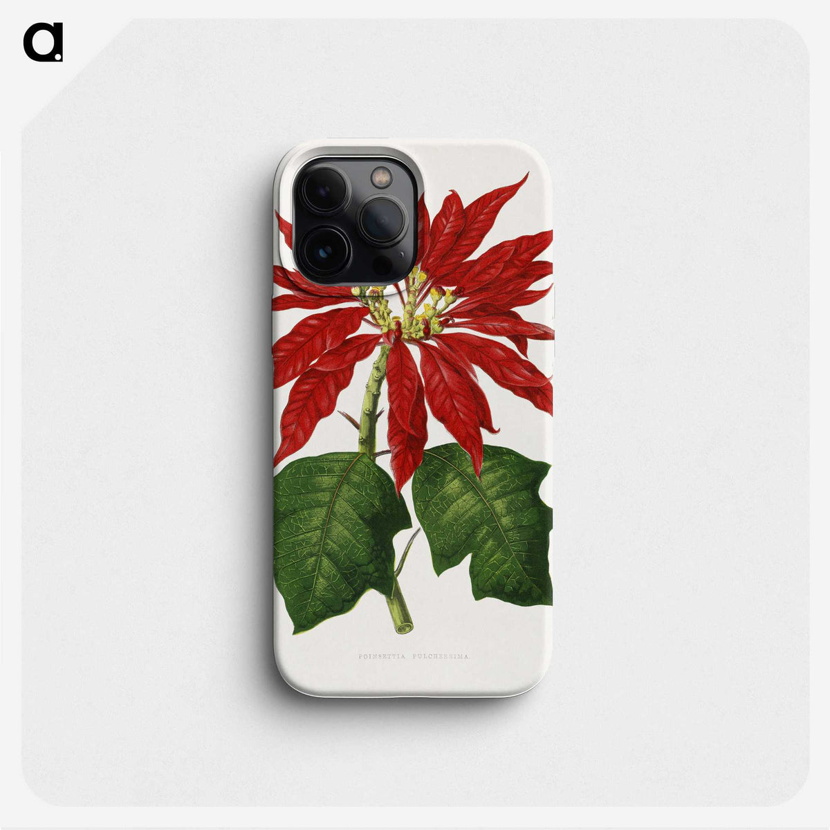 1-15_Plants-with-Colored-Foliage_phone