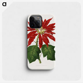 1-15_Plants-with-Colored-Foliage_phone
