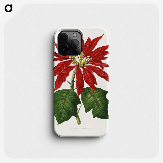1-15_Plants-with-Colored-Foliage_phone