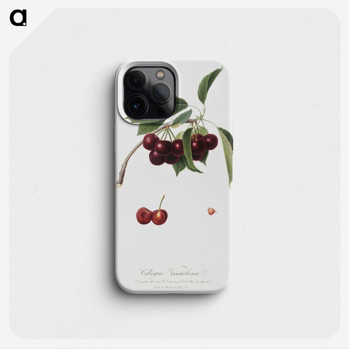 1-15_Pomona-Italiana_phone