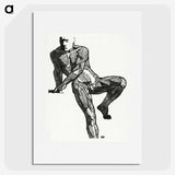 1-15_Reijer-Stolk_picture
